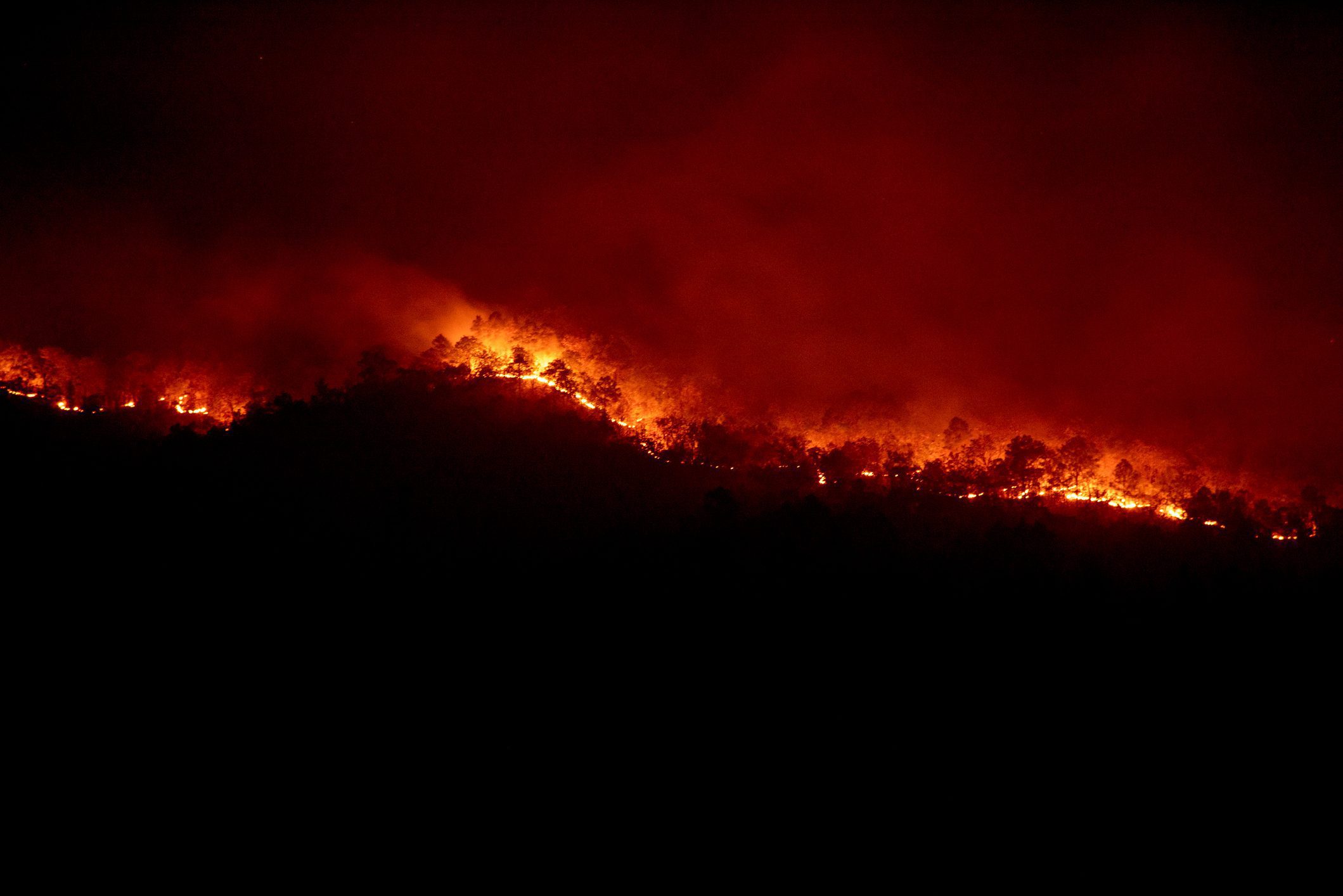 California wildfires destroying crops